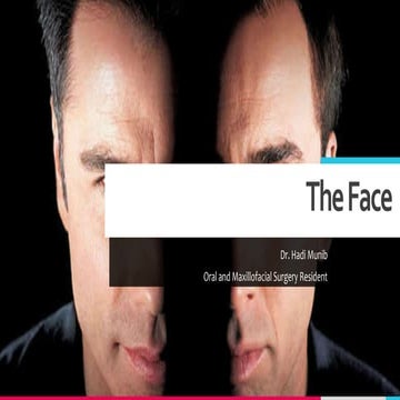 The Face