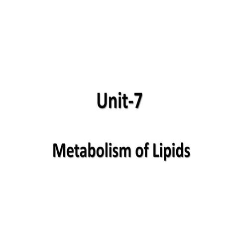 7. lipid metabolism