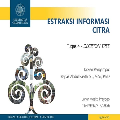 Decision Tree Classification in Remote Sensing | PDF