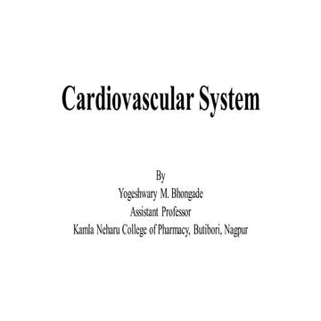 7. cardiovascular system