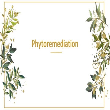 Phytoremediation