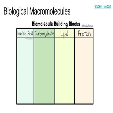 Biological Macromolecules.pptx