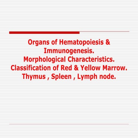 Hematopoiesis