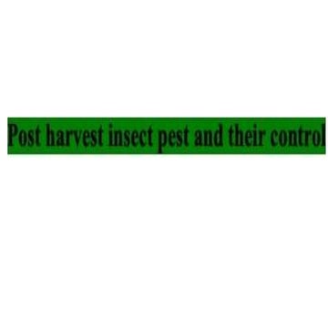 7. Post Harvest Entomology and their control.pptx