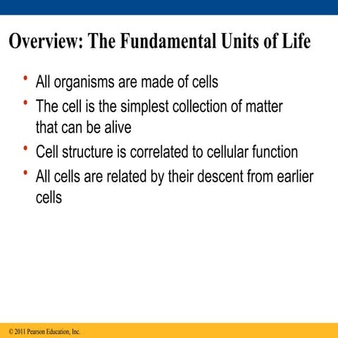 7. The Cell - hoe cells work and organelles.pptx