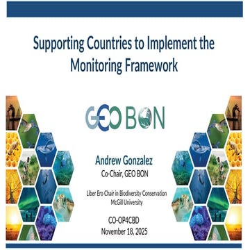 Supporting Countries to Implement the Monitoring Framework​