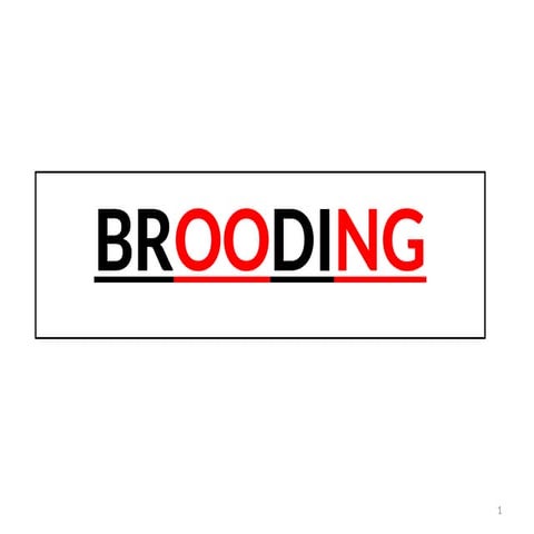 Brooding in poultry | PPTX