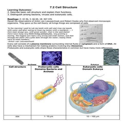 7.2 Cell Structure
