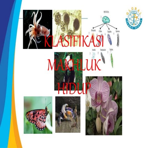 7 3. Klasifikasi Makhluk Hidup