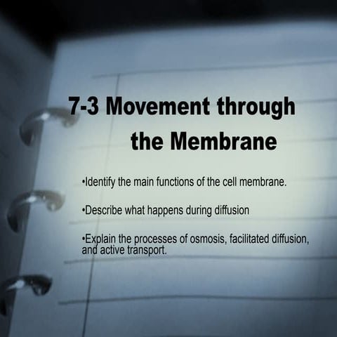 7 3 movement through
