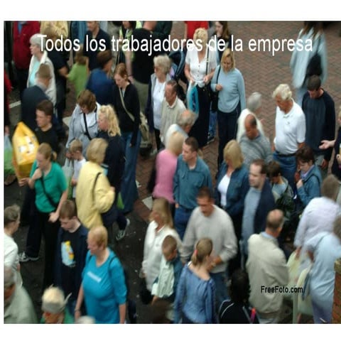 7 6 seccion sindical