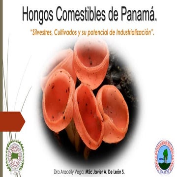 7-Hongos-Comestibles-de-Panamá.-ALACCTA-2018.pdf