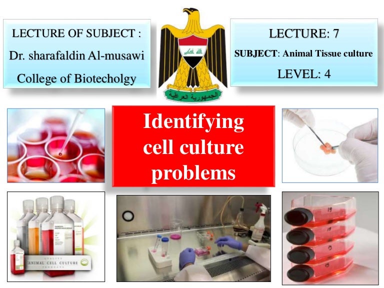 identifying cell culture problems lecture 7