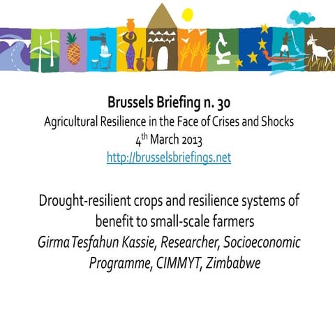 30thBrussels Briefing on Agricultural Resilience  -    7. Girma Tesfahun Kass...
