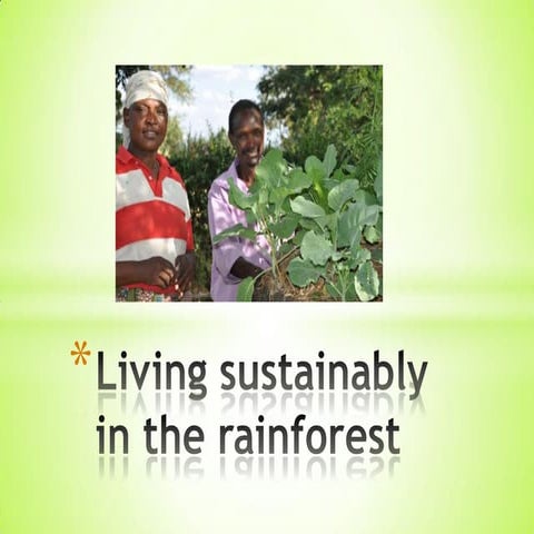 7   living sustainably in the rainforest