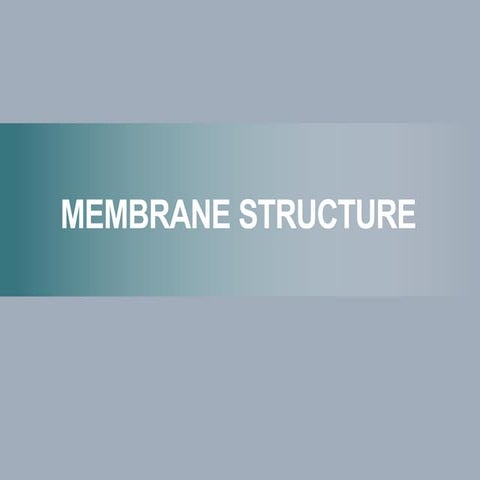 7-MEMBRANE.pdf