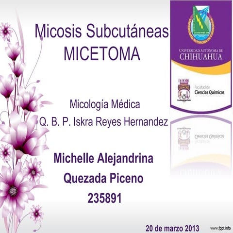 7.micetoma