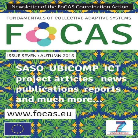 FoCAS Newsletter Issue Seven