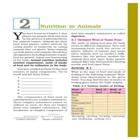 7   nutrition in animals