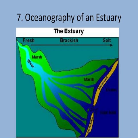 7. oceanography of an estuary