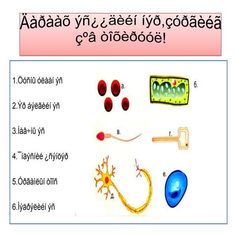 7 r angi | ODP