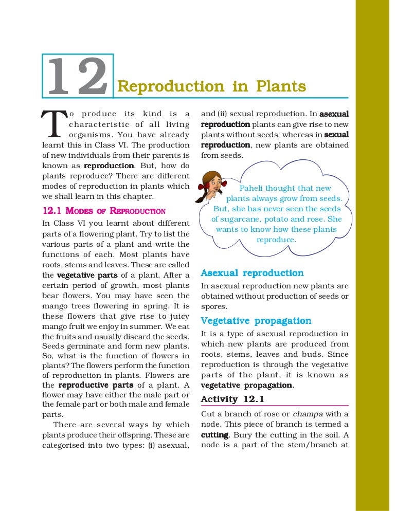 7 reproduction in plants