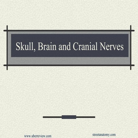 7 - Skull, Brain, Cr.Nv. Grays anatomy.ppt