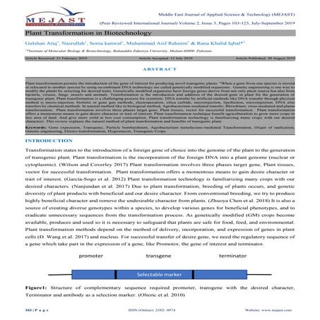 Plant Transformation in Biotechnology
