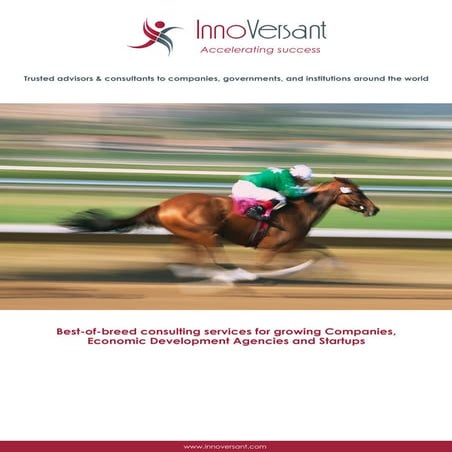 Business Consulting and Investment Promotion in India