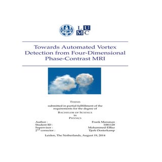 Thesis Frank - Final