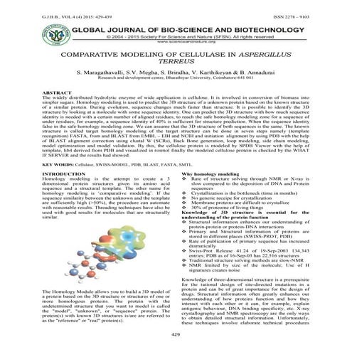 58.Comparative modelling of cellulase from Aspergillus terreus