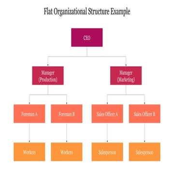 701919-Flat Organizational Structure Example.pptx