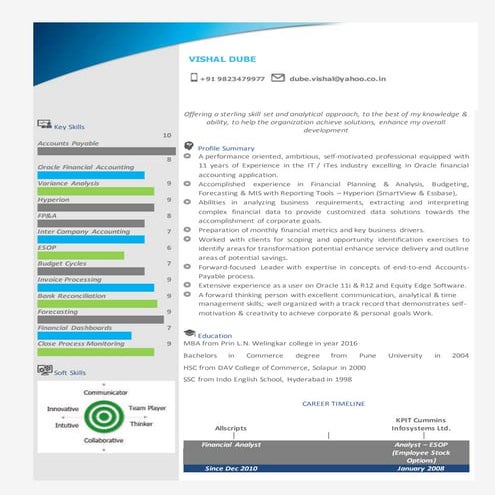 Vishal Dube Resume Visual