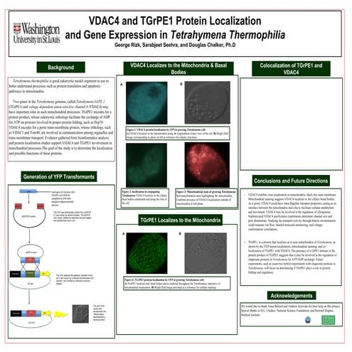 Poster Presentation Template