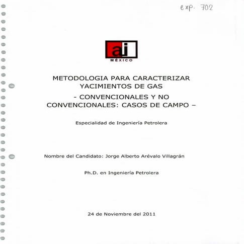 Metología para caracterizar yacimientos de gas - Convencionales y no convenci...
