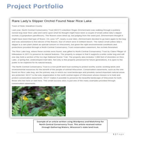 Project Portfolio Writing Sample | PDF