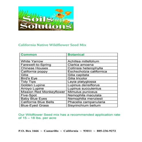 010115 Woodland Meadow Mix | PDF