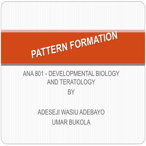 PATTERN FORMATION