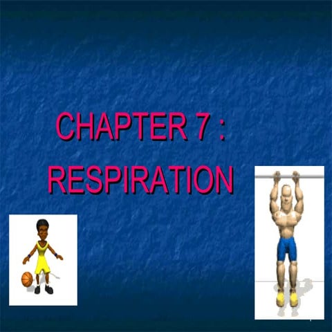 7[1].1   the respiratory process in energy production