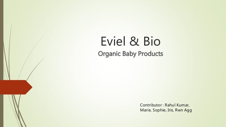 Concept Business Plan For A Green Baby Store In France