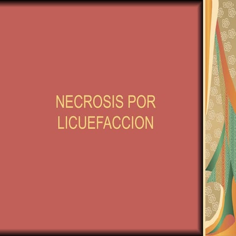 7144505 necrosis-por-licuefaccion m
