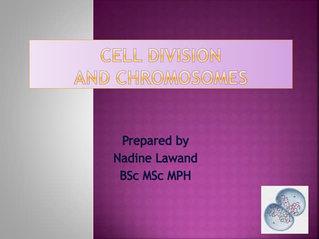 Gametogenesis | PPTX