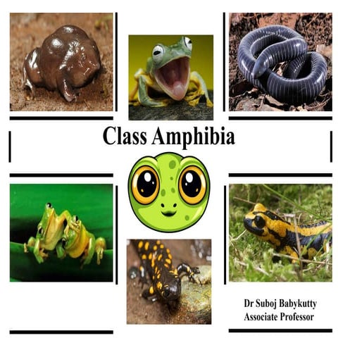 71d2537e-542b-406d-8ae4-594db4b723a3.pptx