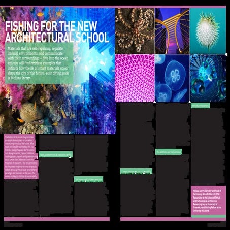 Fishing for the New Architectural School by Melissa Sterry, Published Februar...