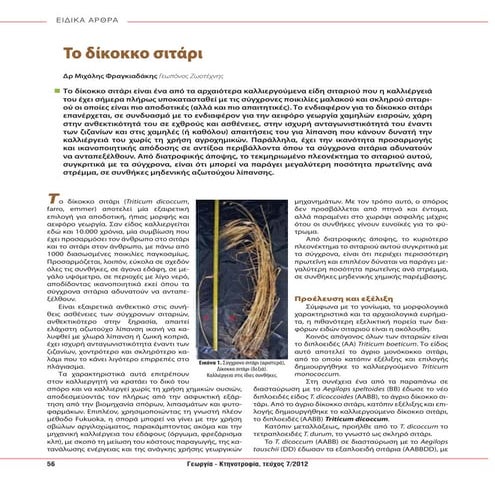 Το δίκοκκο σιτάρι  (Φραγκιαδάκης Μ.)