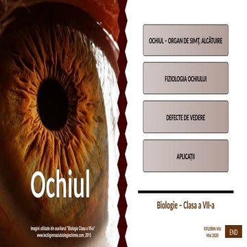 Anatomy and Function of the Human Eye: Vision and Common Defects | PPTX