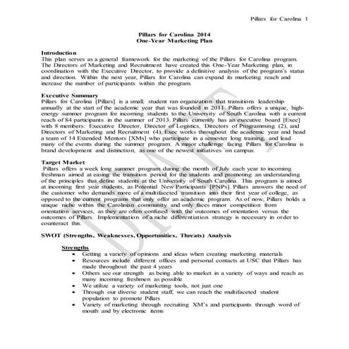 Pillars for Carolina 2014 One Year Marketing Plan