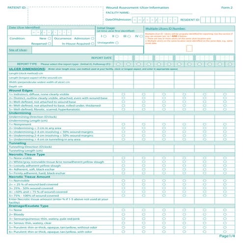 Assessment Chart for Wound Management Patient ID Label | DOCX