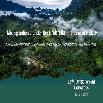 Mixing policies under the umbrella: the case of REDD+