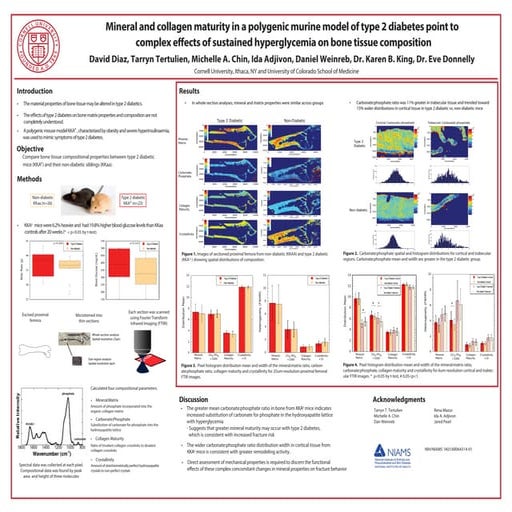 ASBMR Poster final PPT